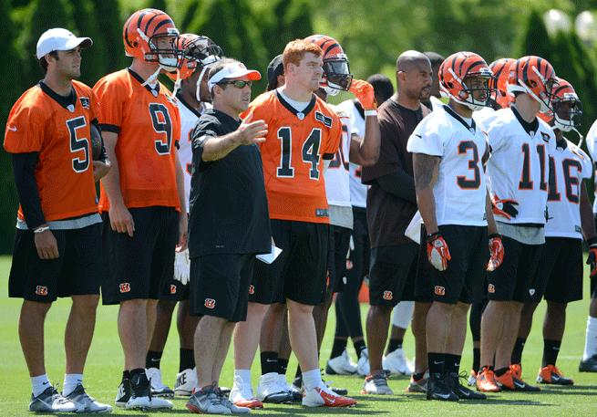 Despite popular belief, the Cincinnati Bengals aren't a bunch of criminals. Most of them are good, hard-working guys, and they're actually kind of boring.